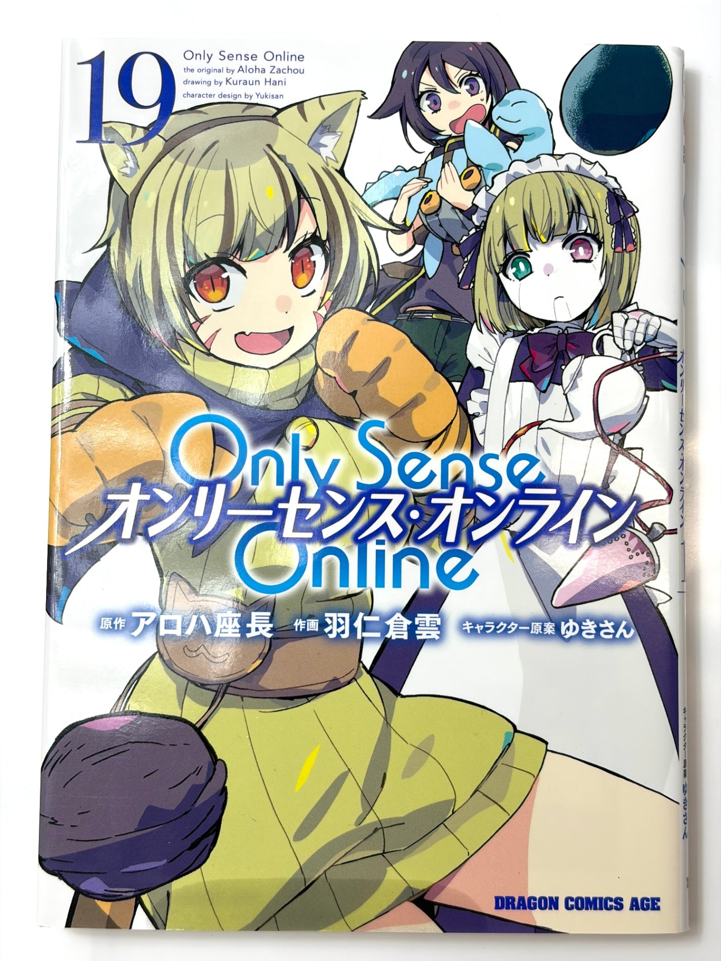 Only Sense Online 19 ‐オンリーセンス・オンライン‐ (ドラゴンコミックスエイジ)