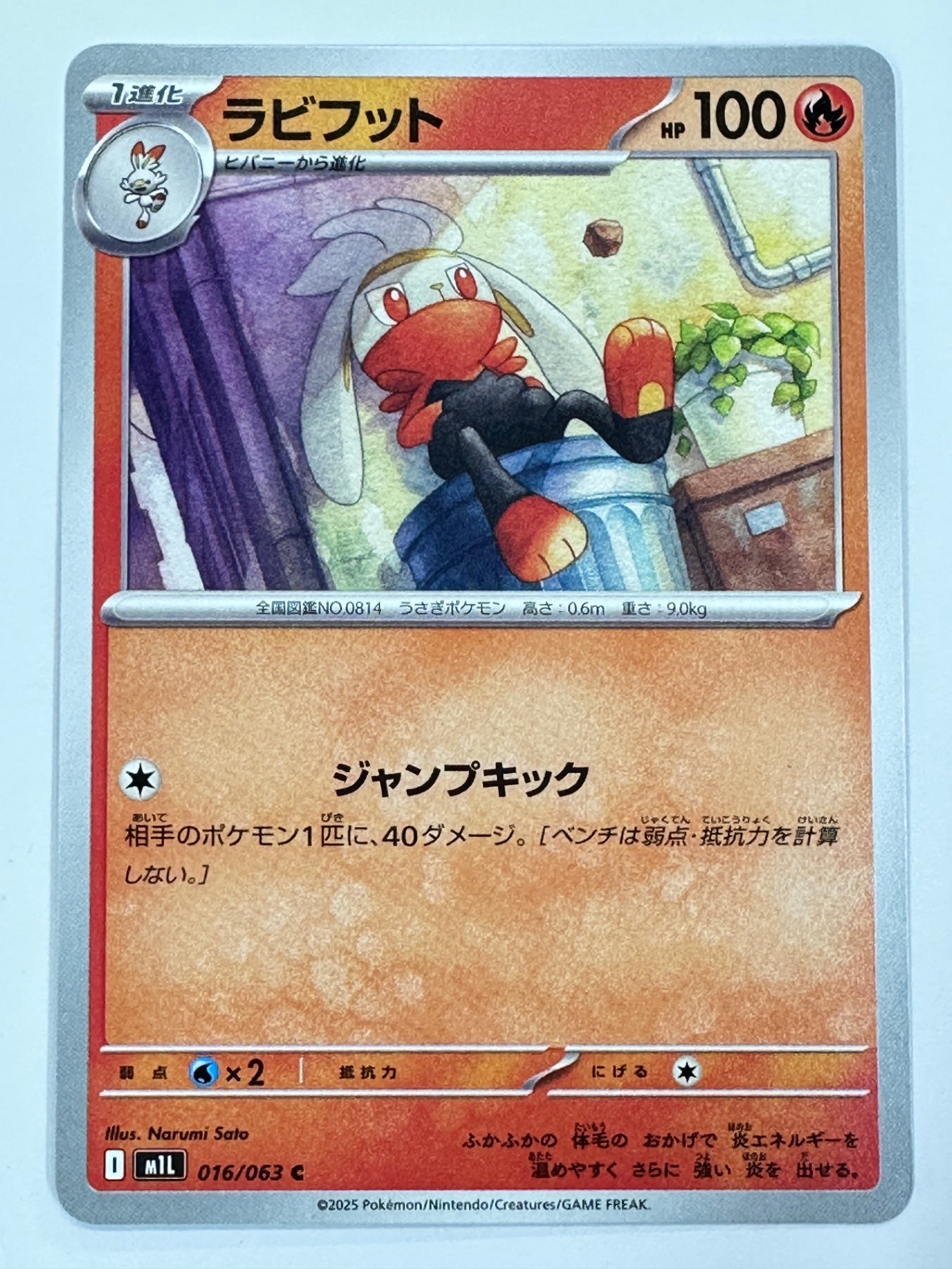 016/063 ラビフット