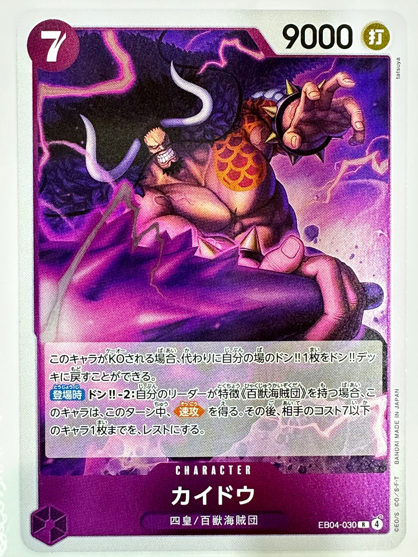 EB04-030 カイドウ