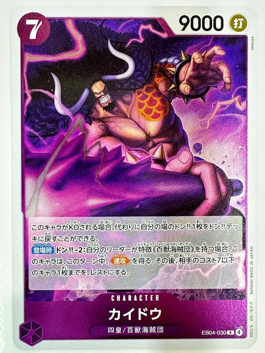 EB04-030 カイドウ