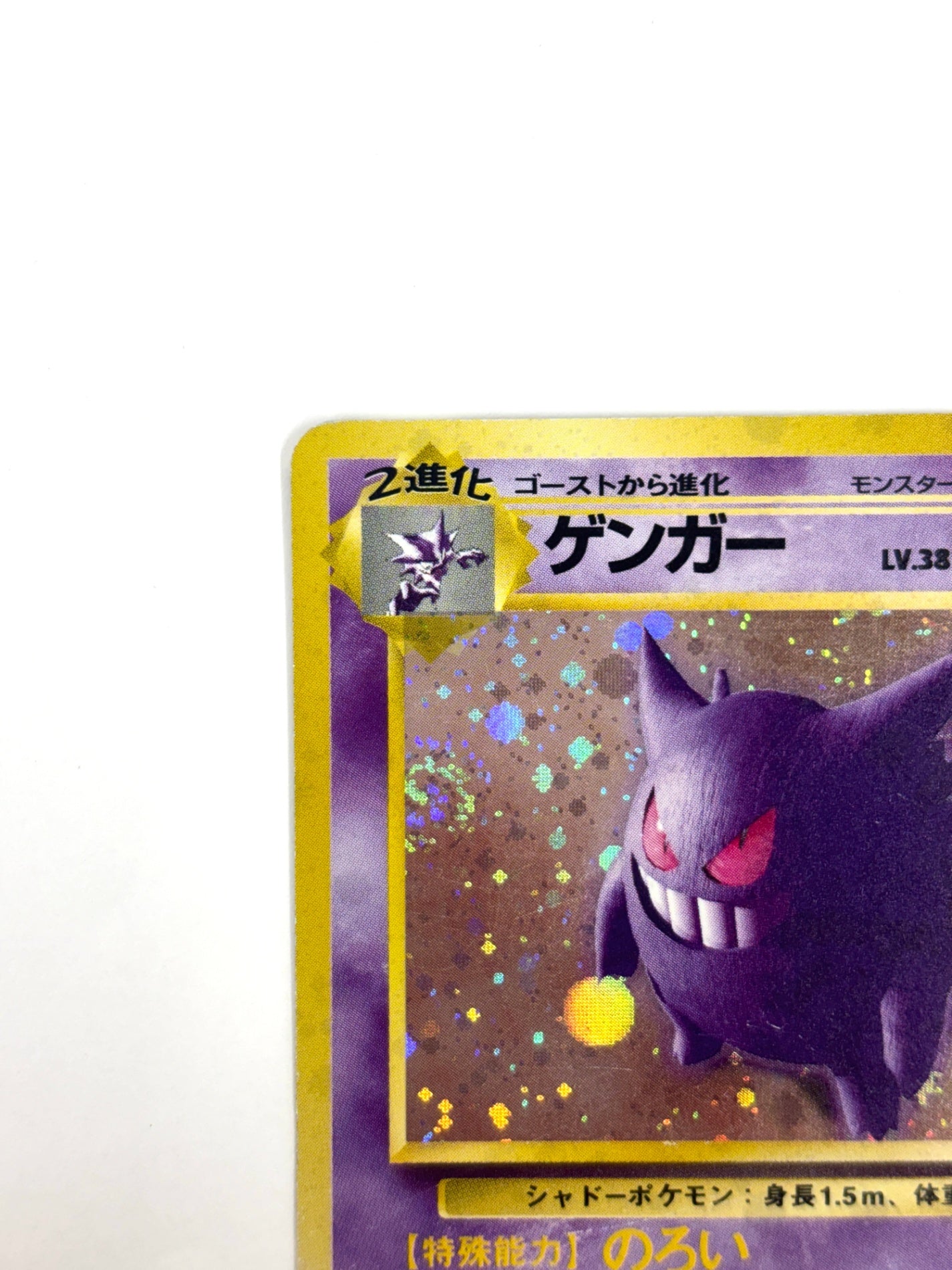 LV38HP80NO094-ORG3 ゲンガー(右中央:3本指の化石)