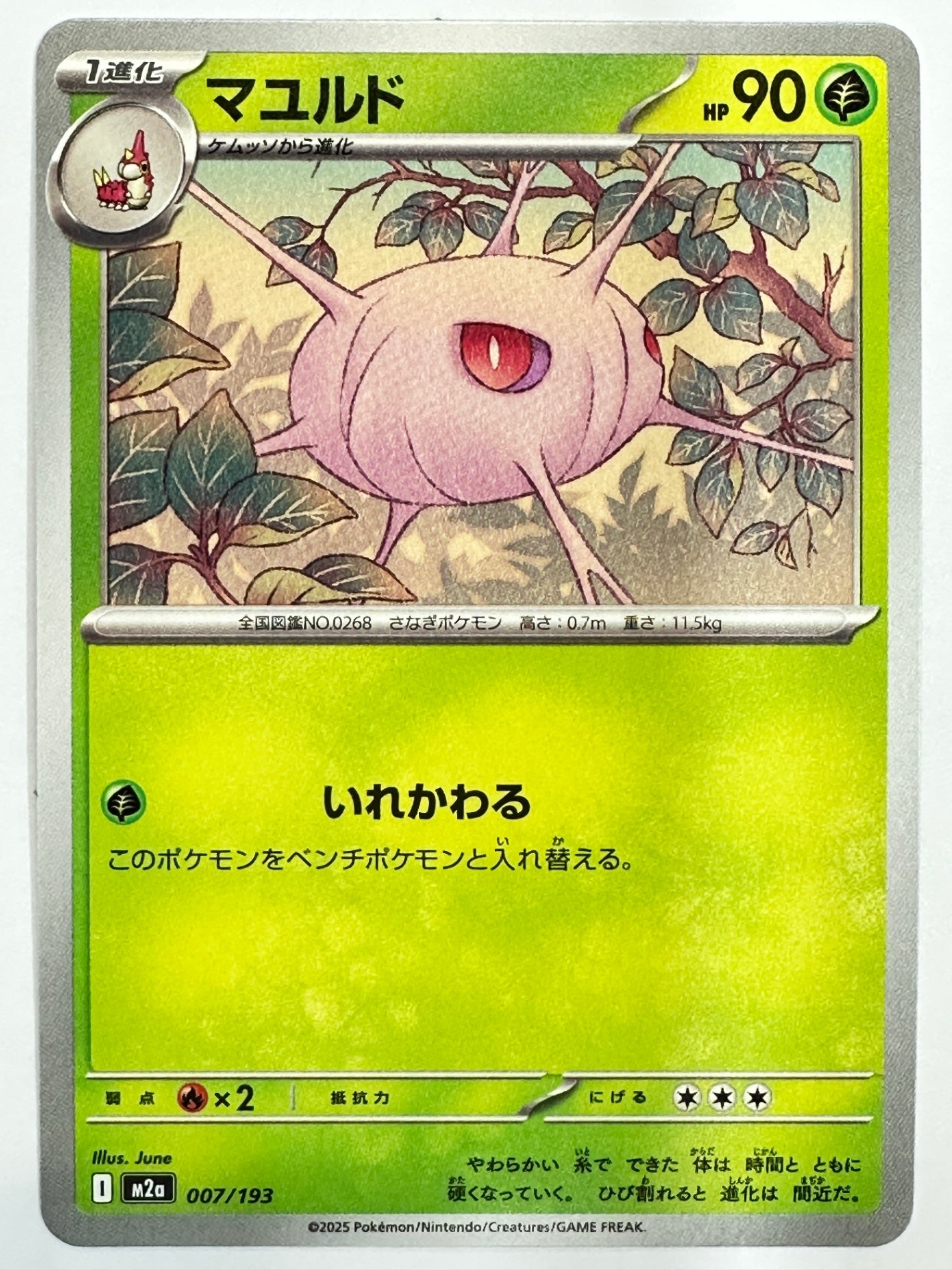 007/193 マユルド