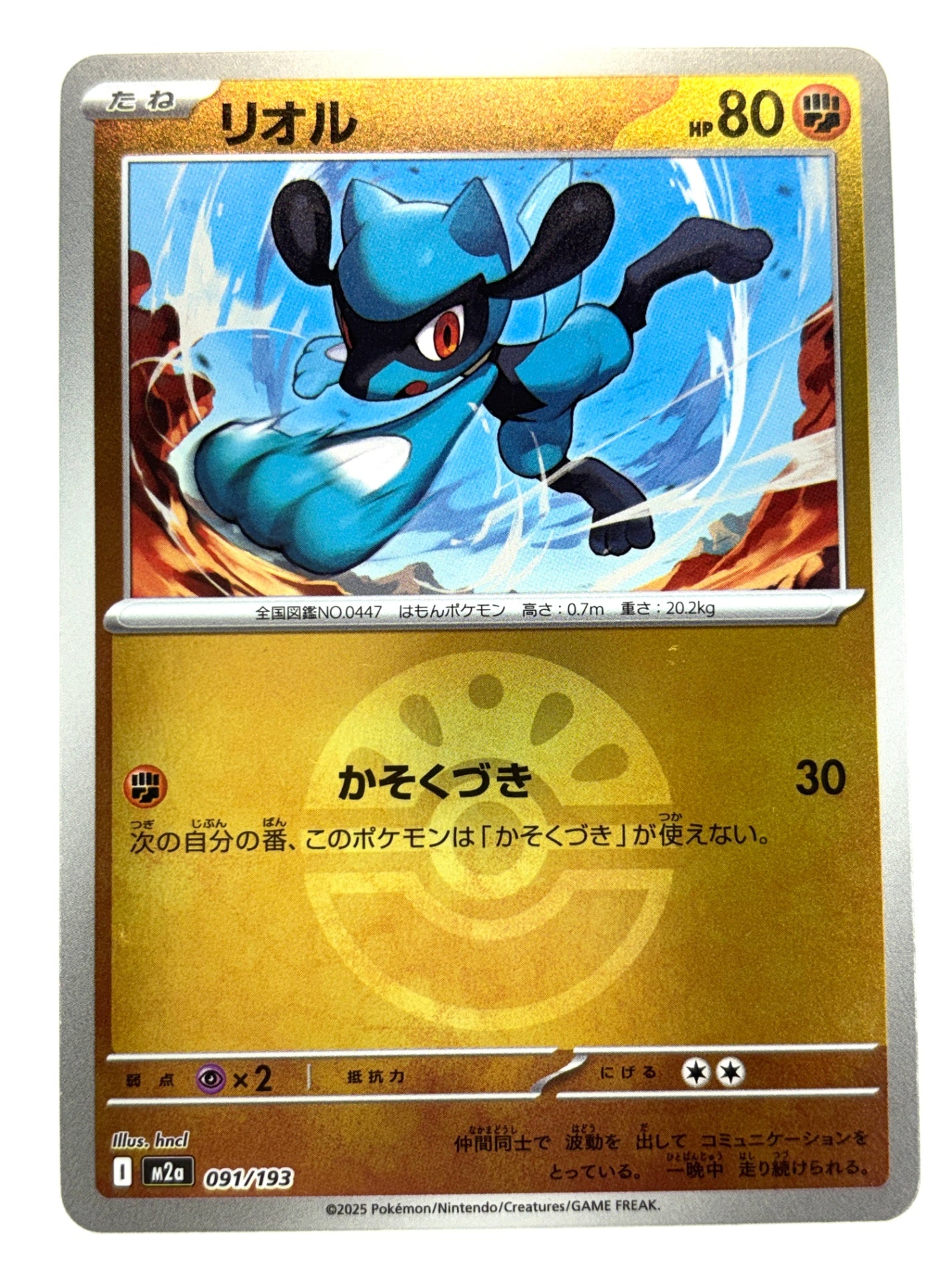 091/193 ミラー)リオル(ボール柄)