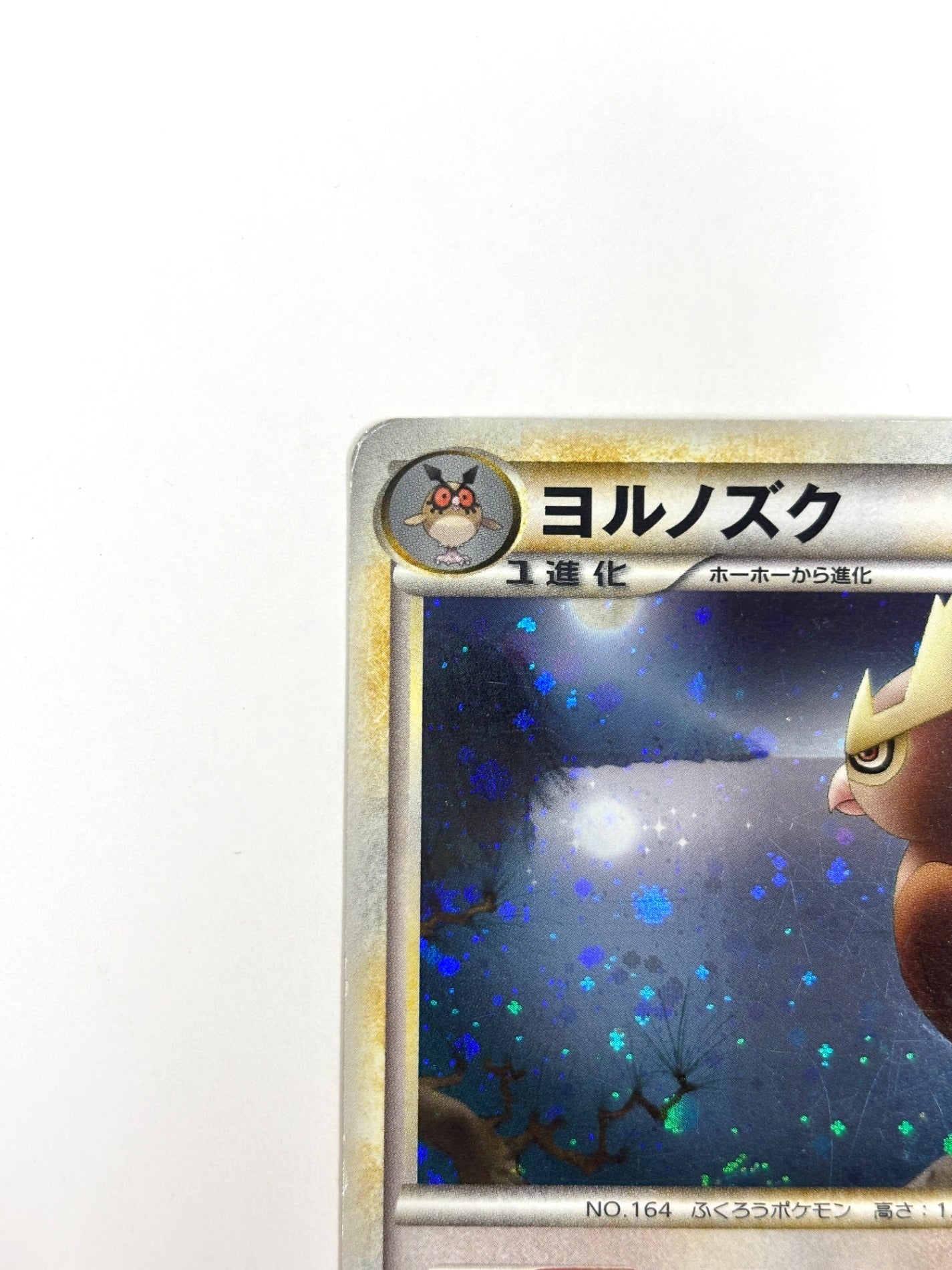 059/070 1ED)ヨルノズク