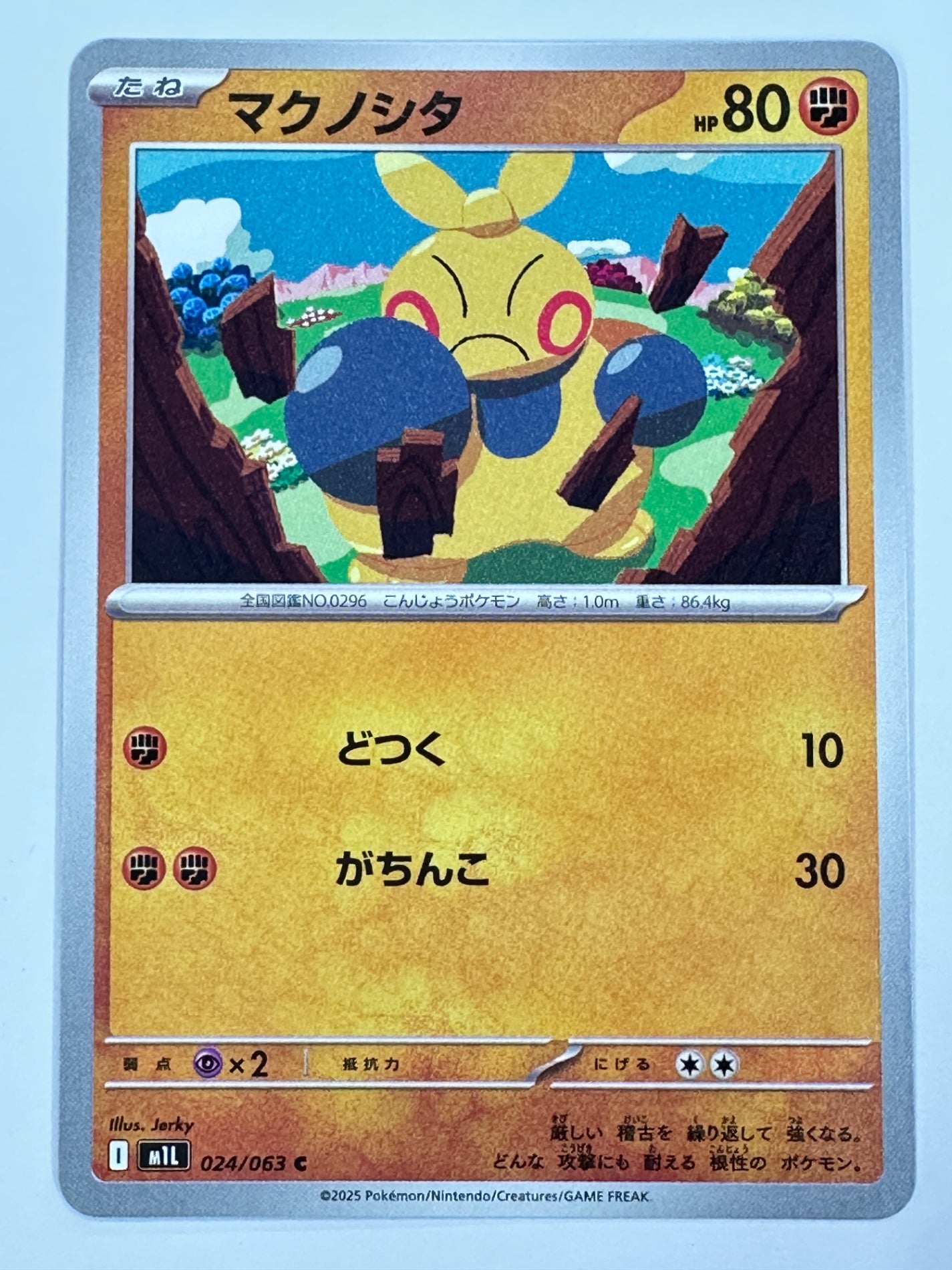 024/063 マクノシタ