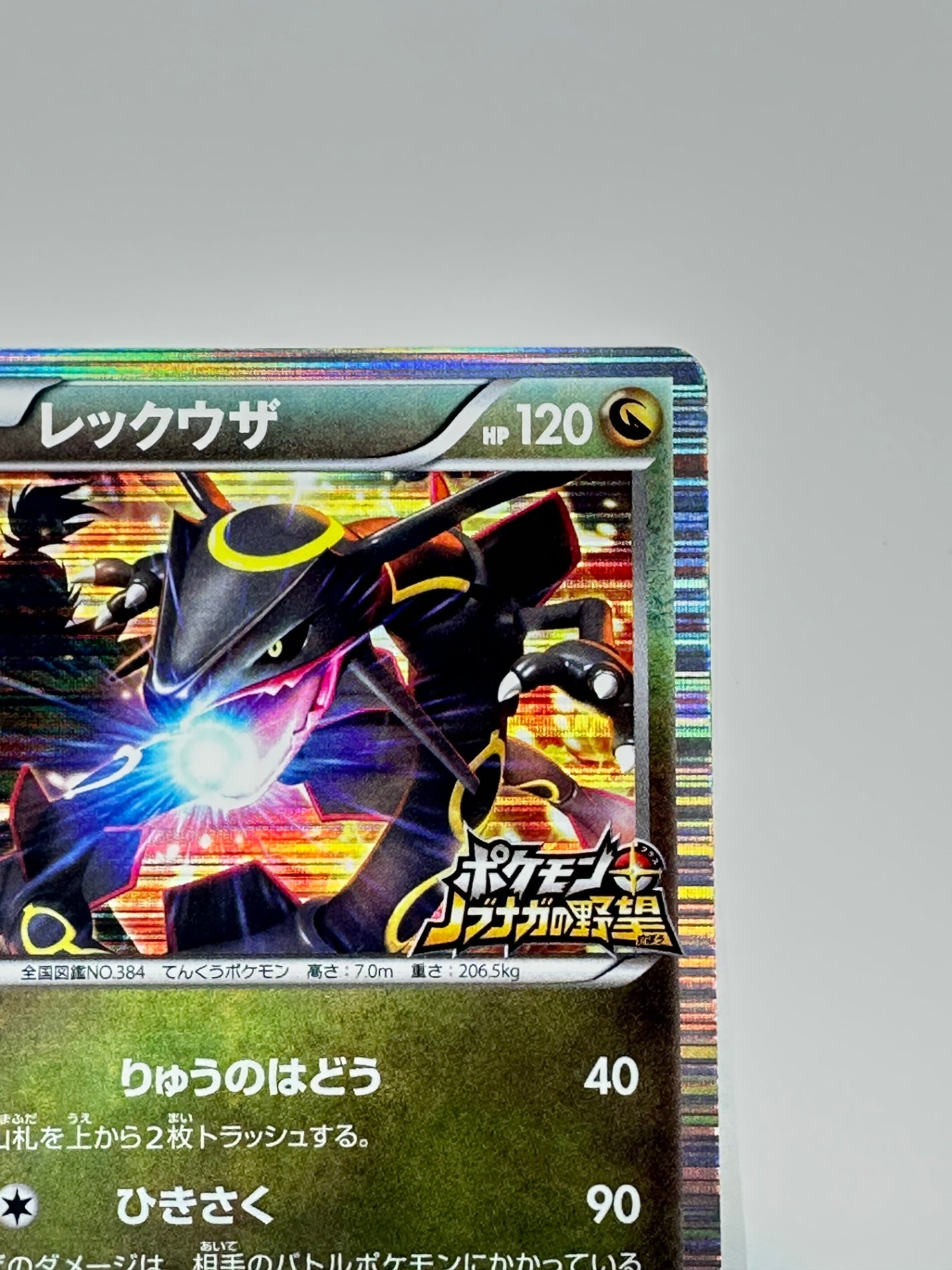 144/BW-P レックウザ 【状態C】