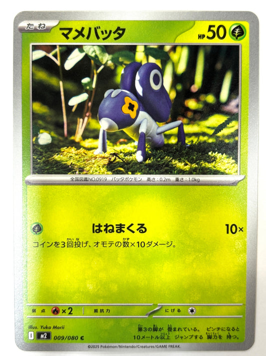 009/080 マメバッタ