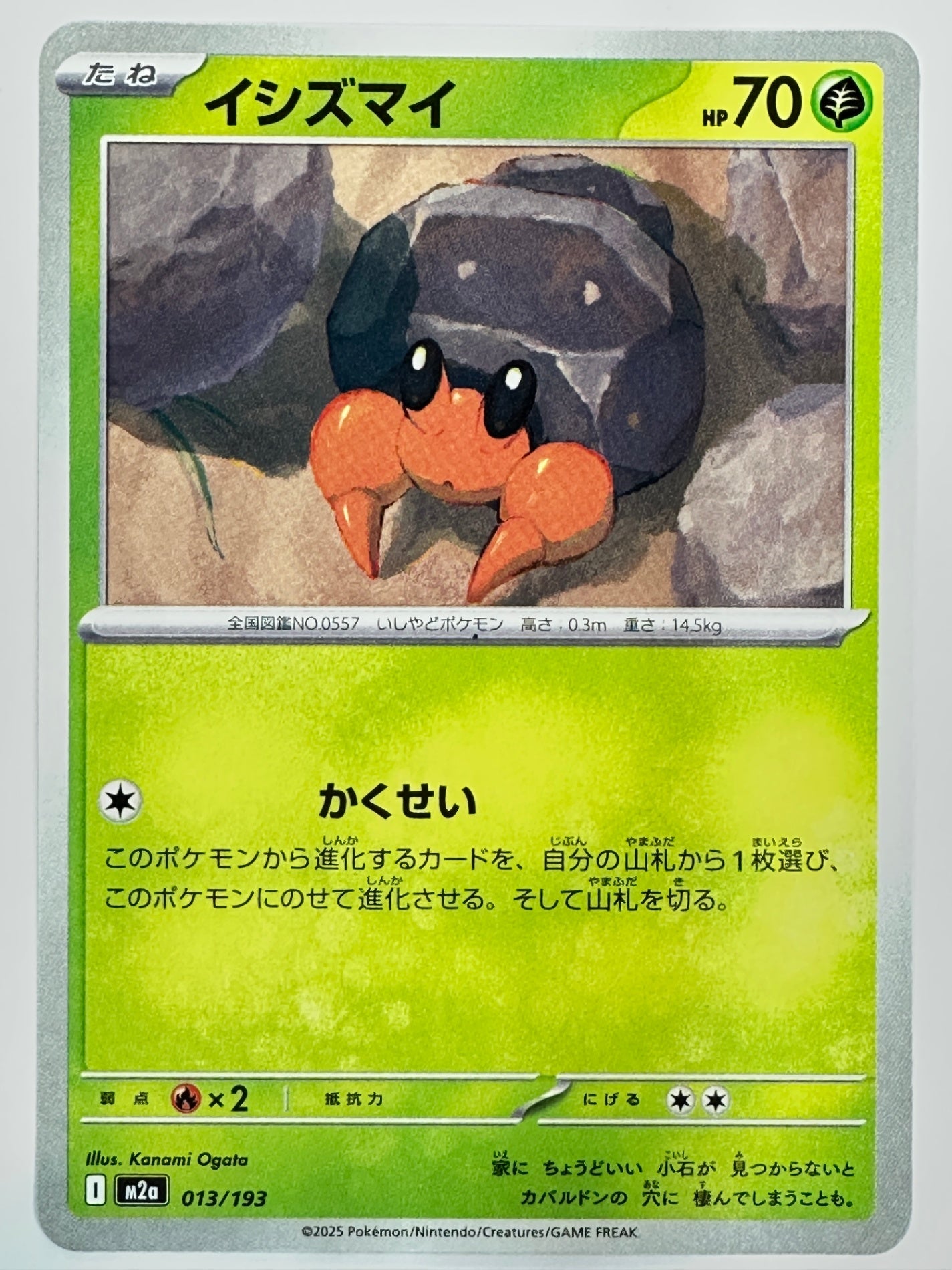 013/193 イシズマイ