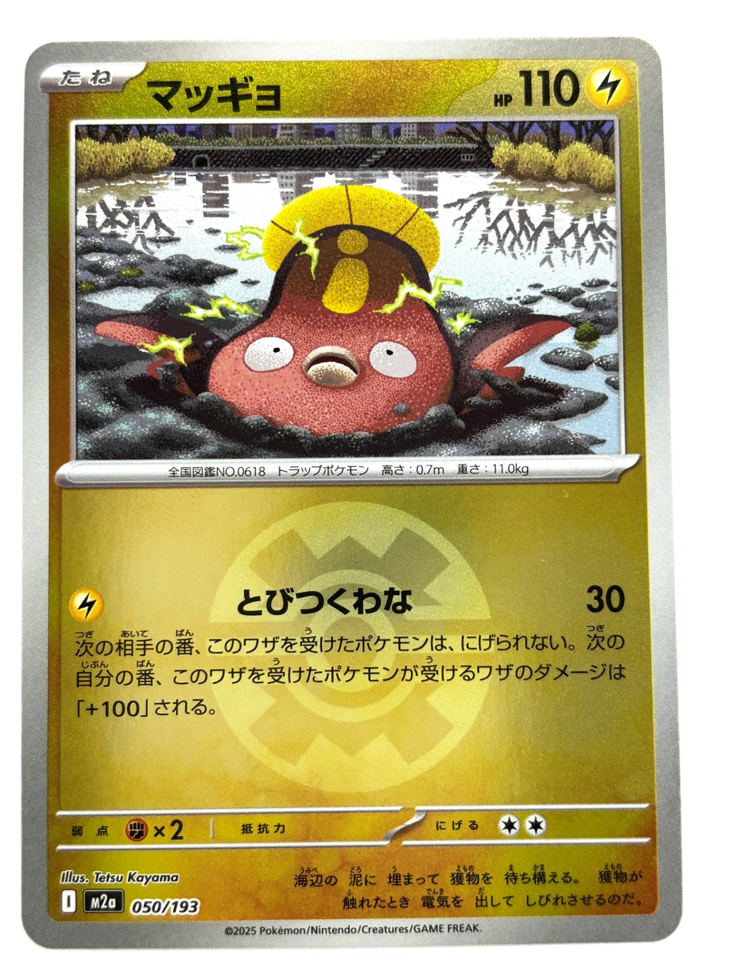 050/193 ミラー)マッギョ(ボール柄)