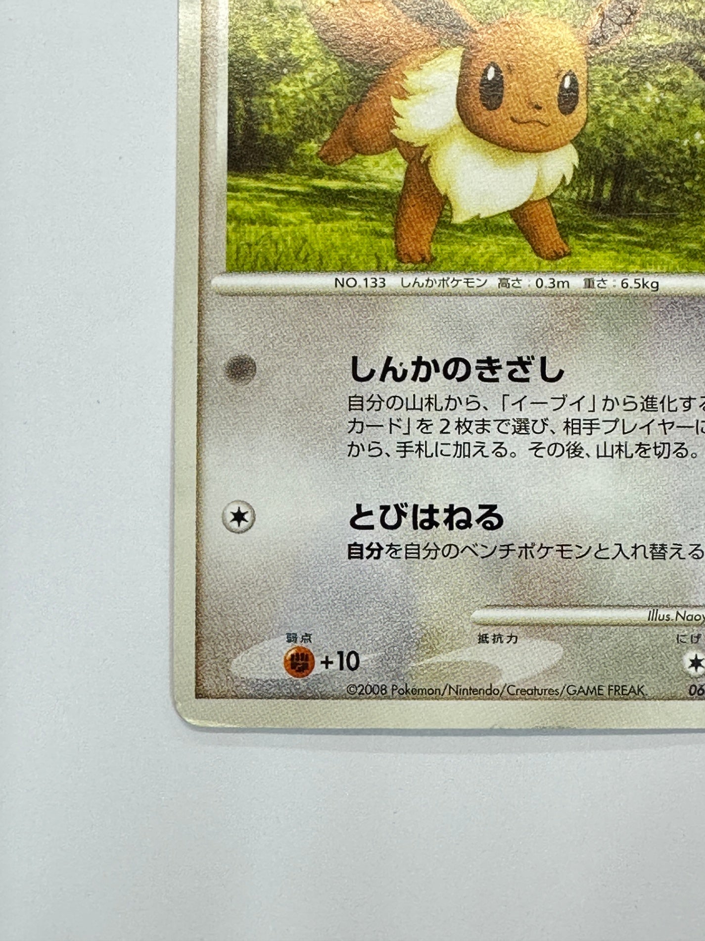 068/090 イーブイ