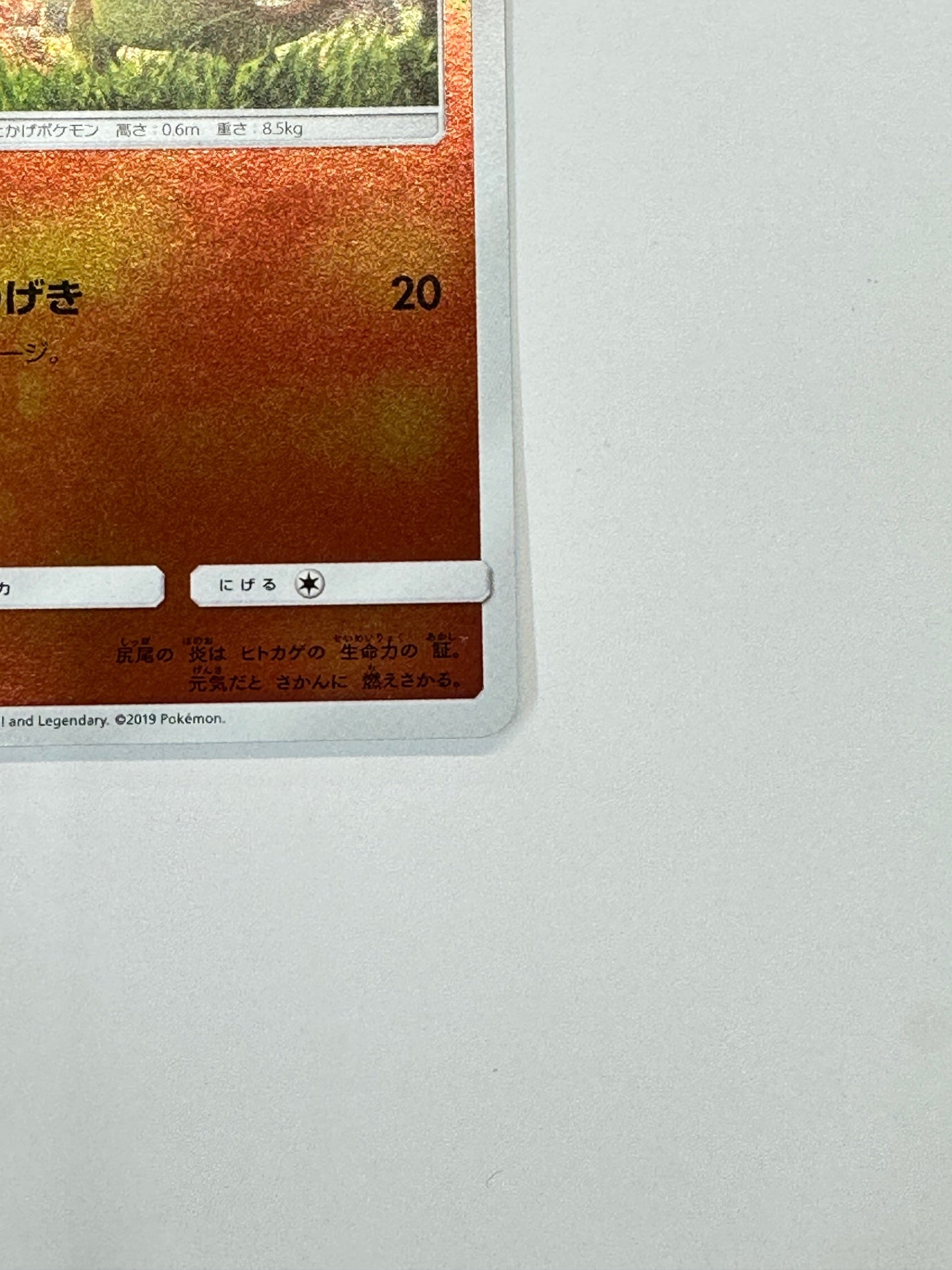 005/024 ヒトカゲ