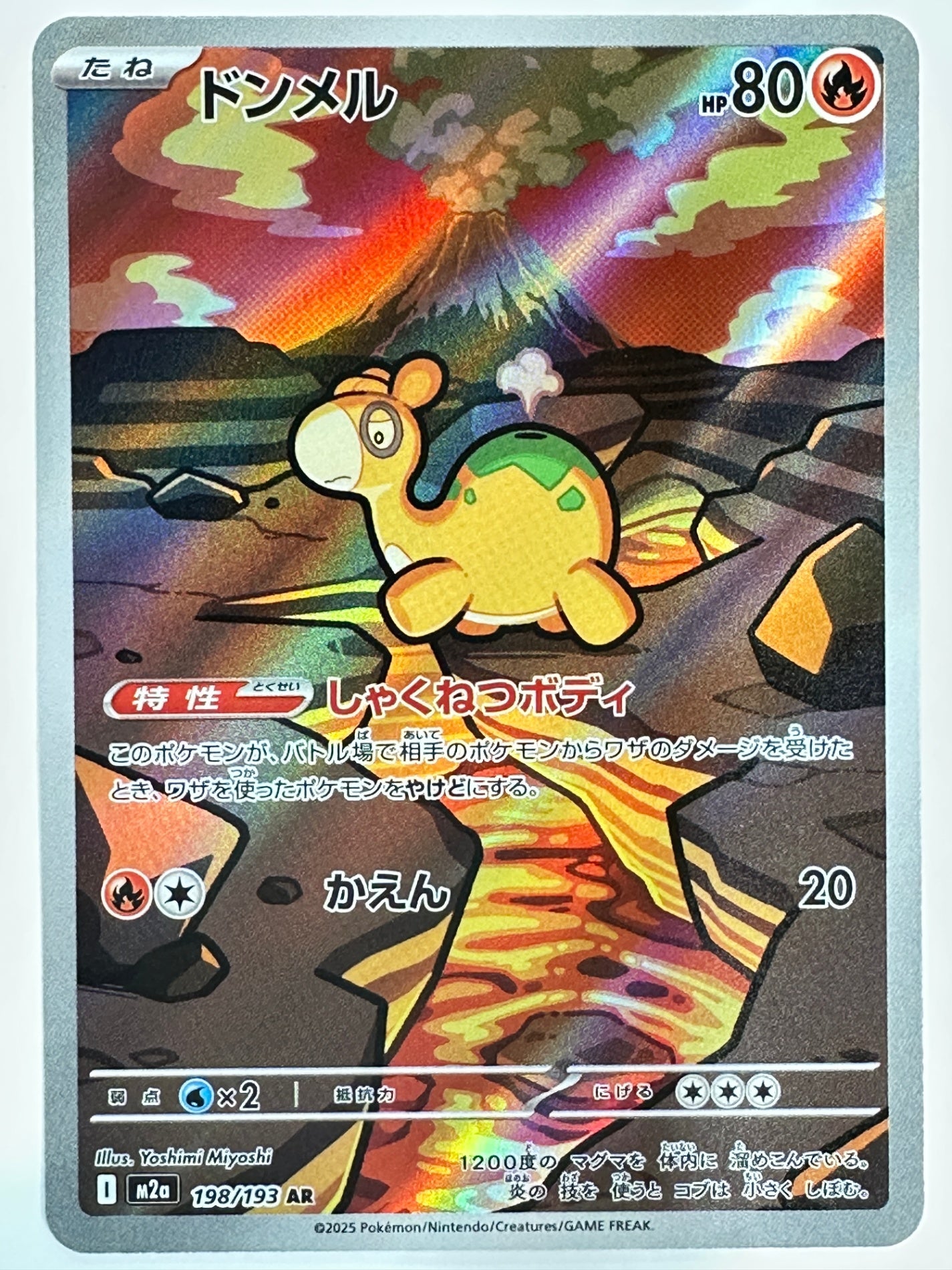 198/193 ドンメル