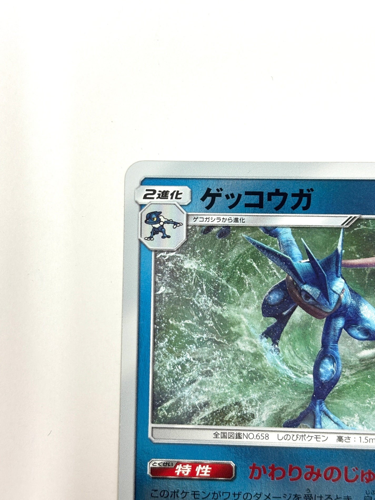 012/024 ゲッコウガ