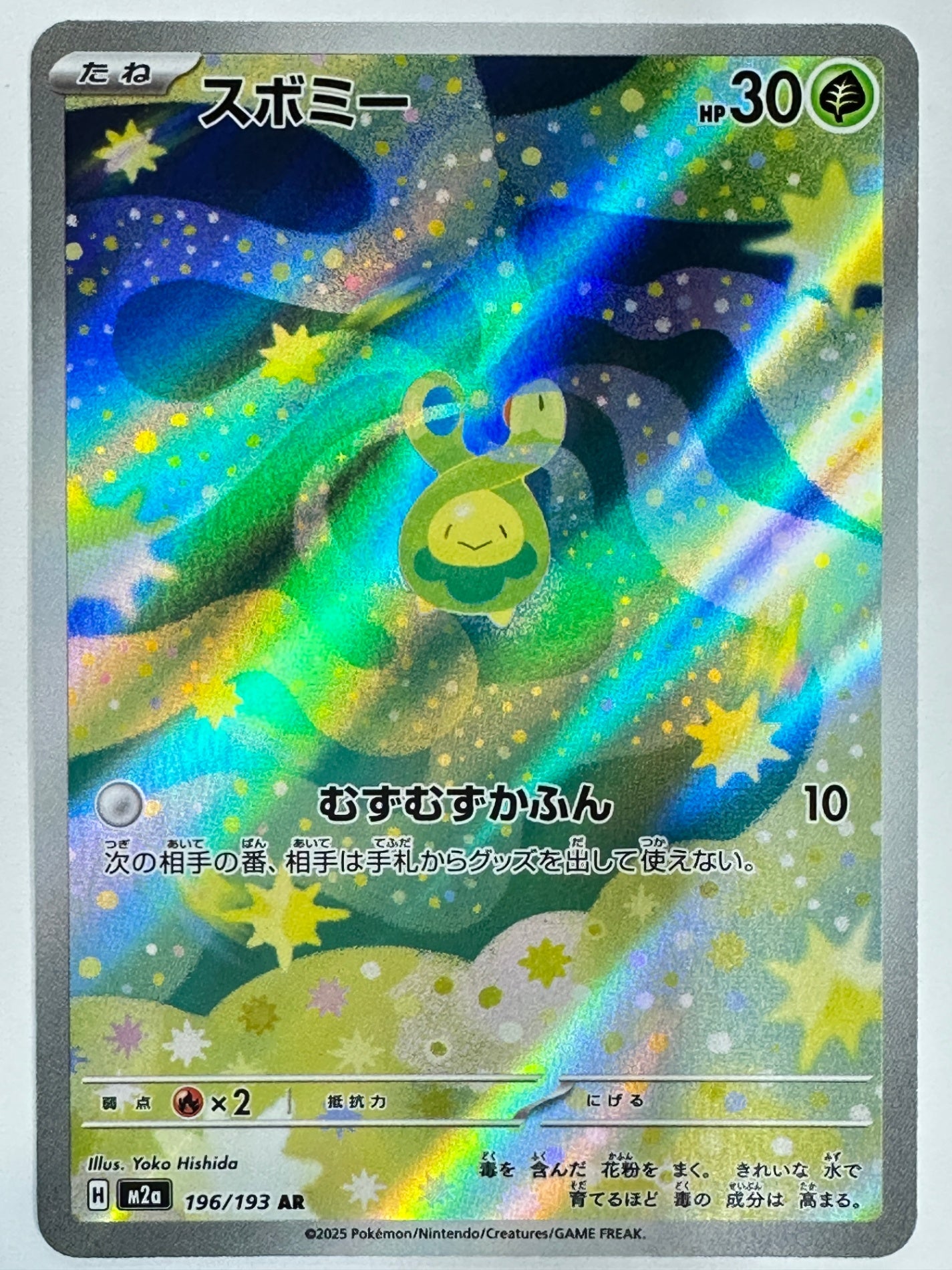 196/193 スボミー