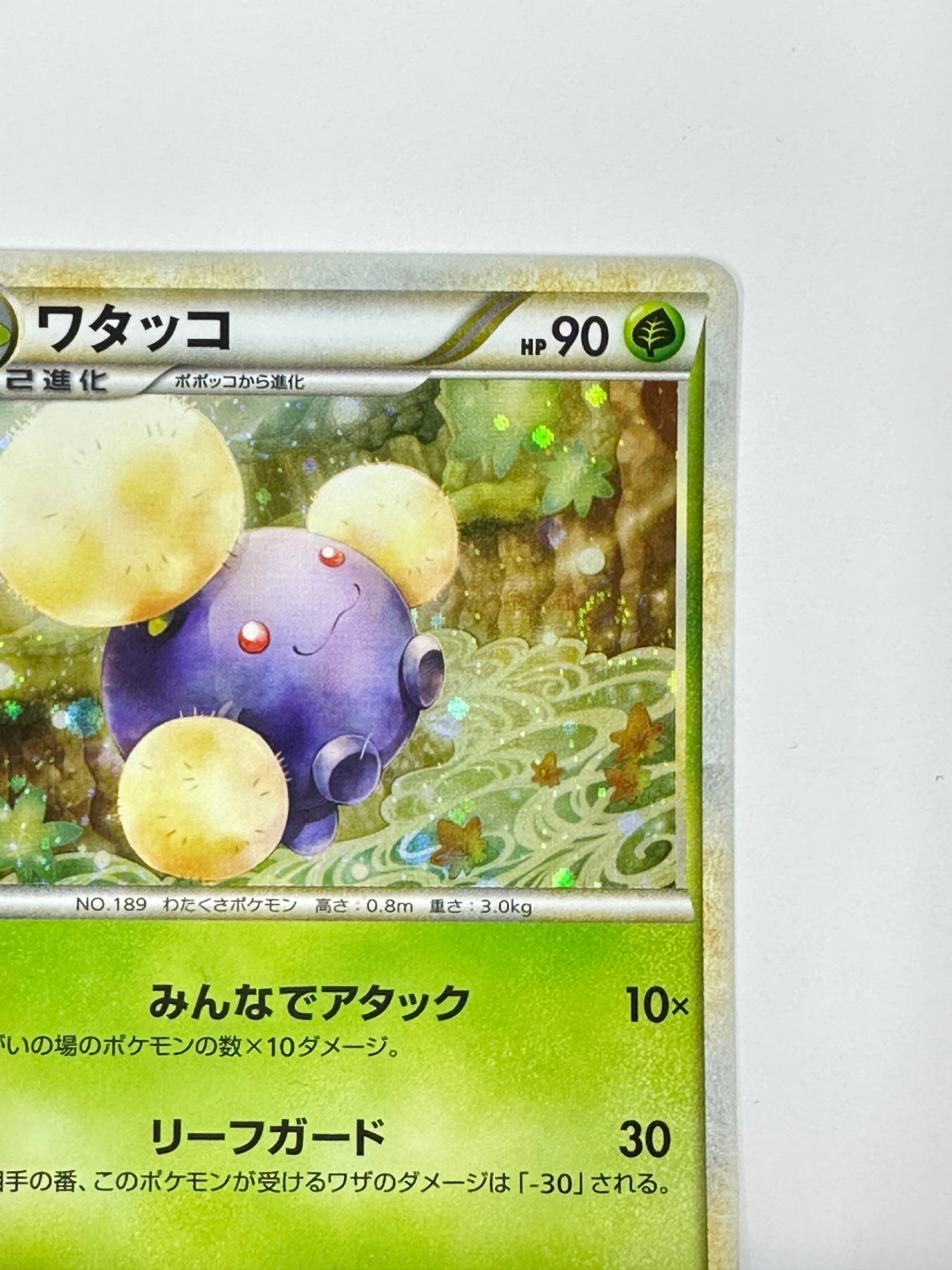 008/070 1ED)ワタッコ