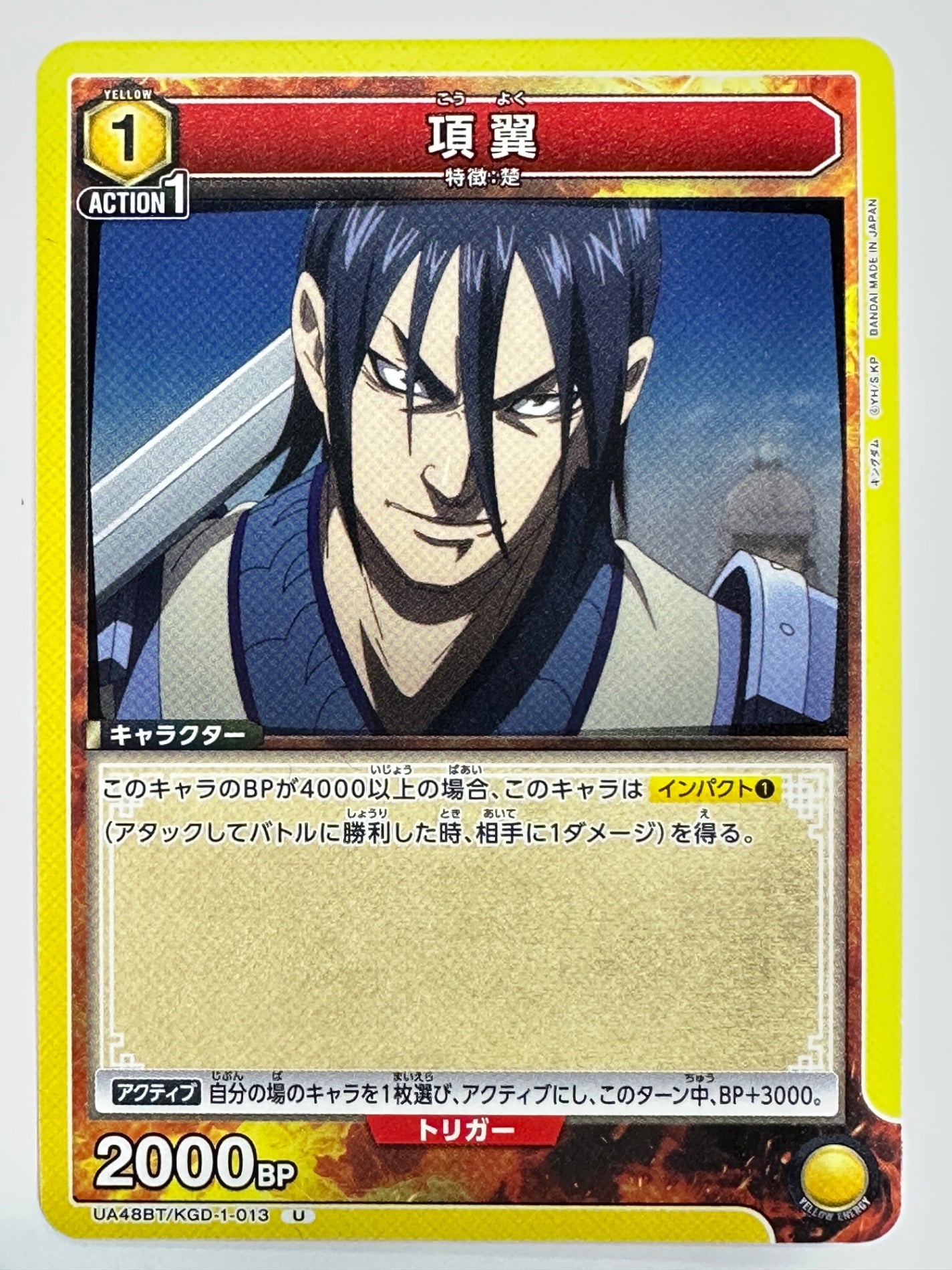 UA48BT/KGD-1-013U 項翼