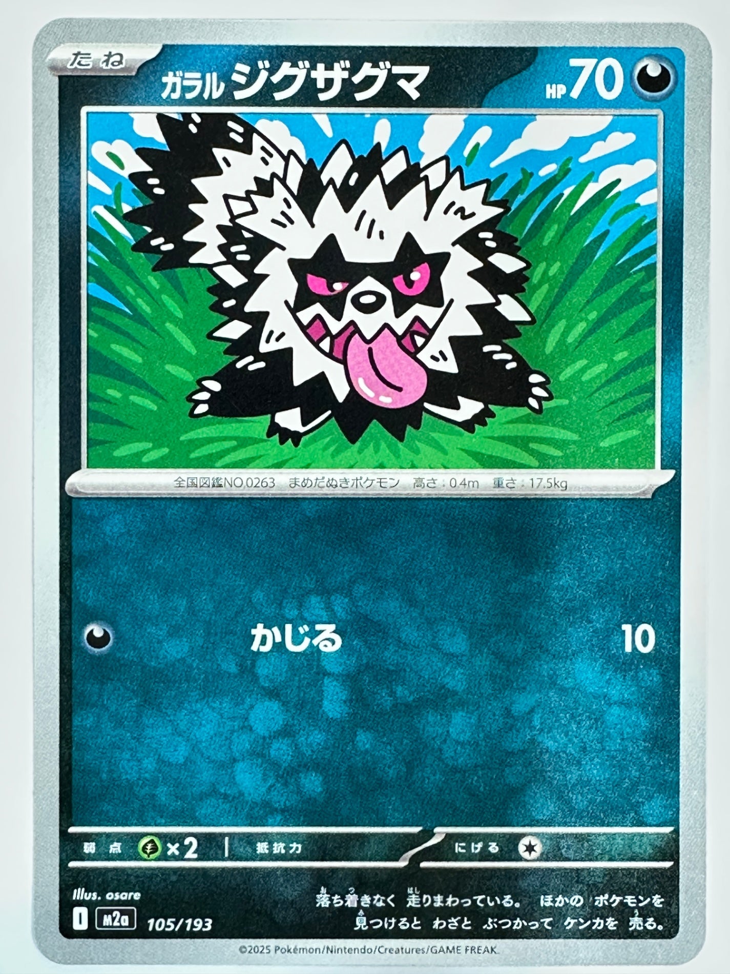 105/193 ガラルジグザグマ