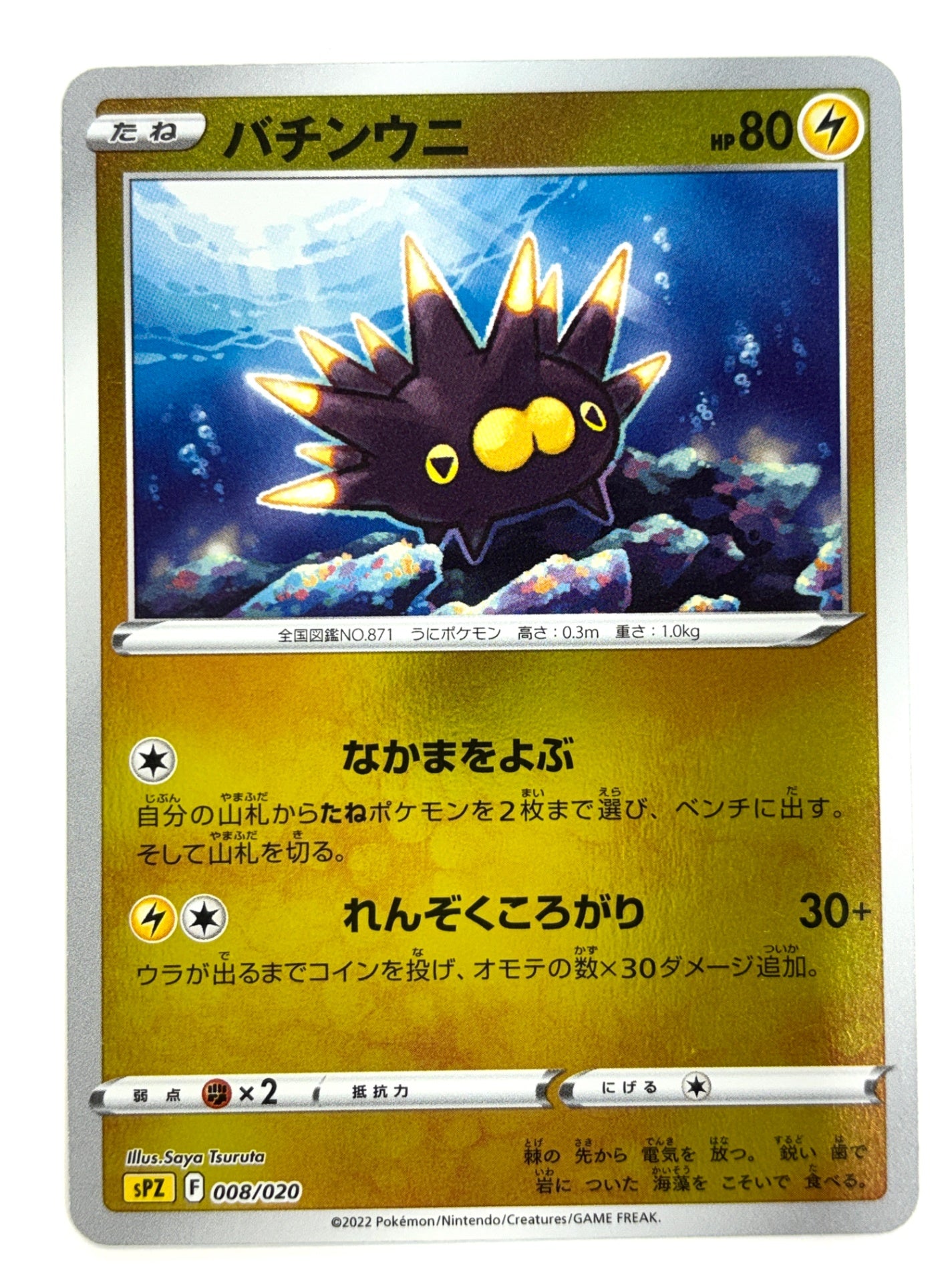 008/020 バチンウニ