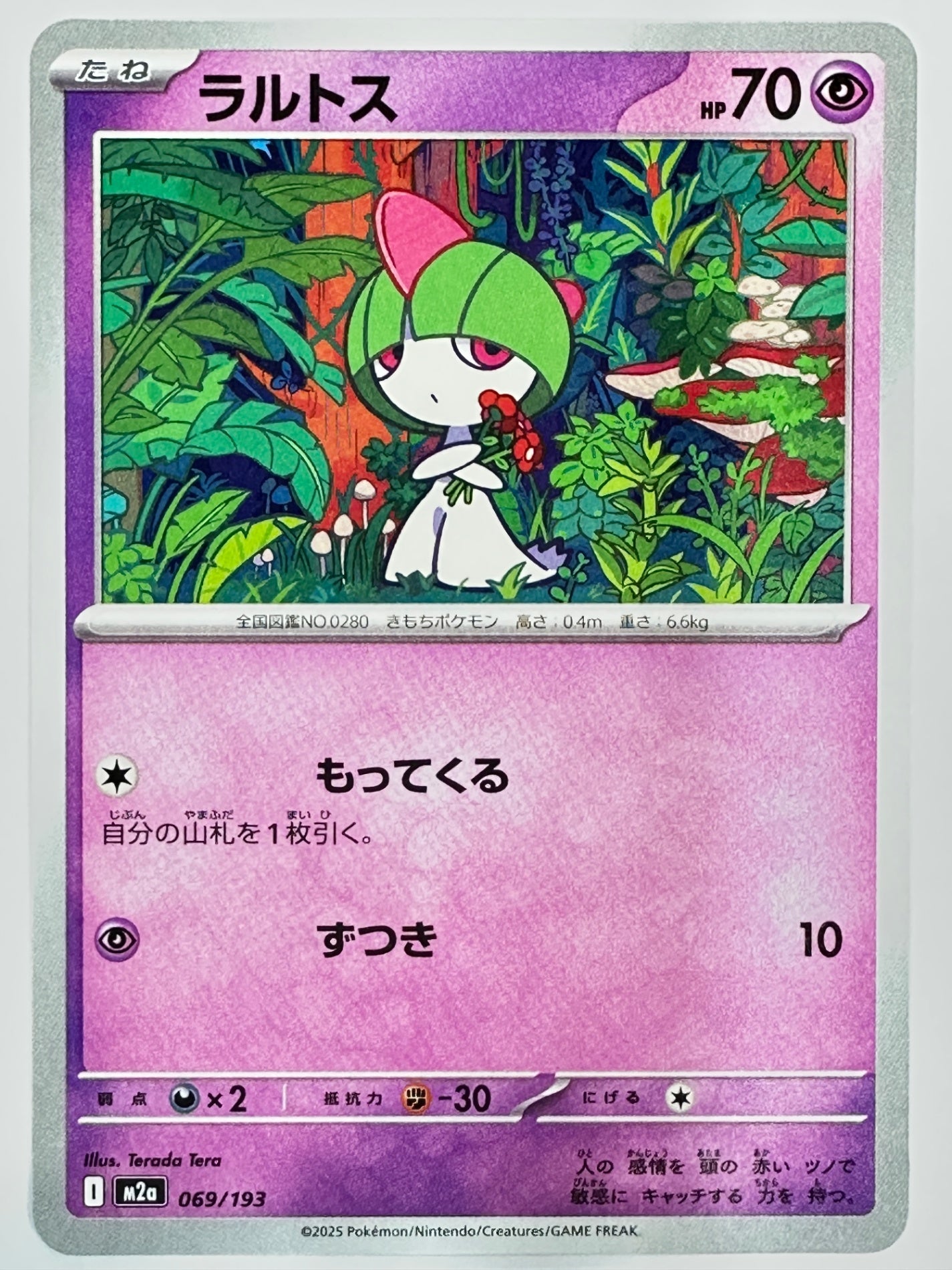 069/193 ラルトス