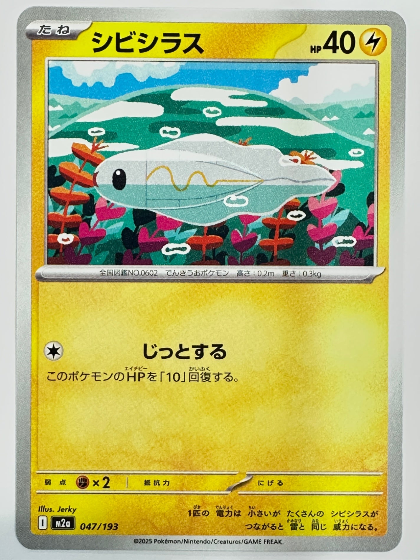 047/193 シビシラス