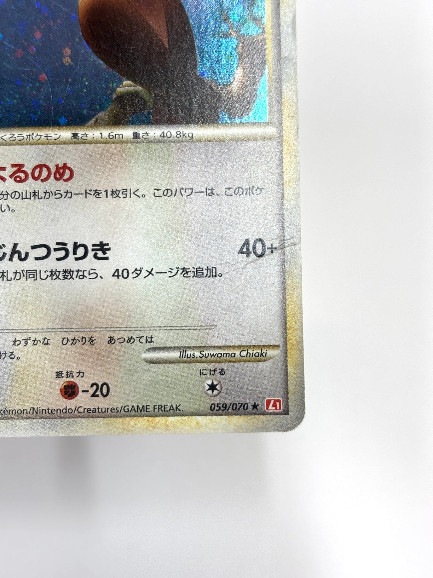 059/070 1ED)ヨルノズク