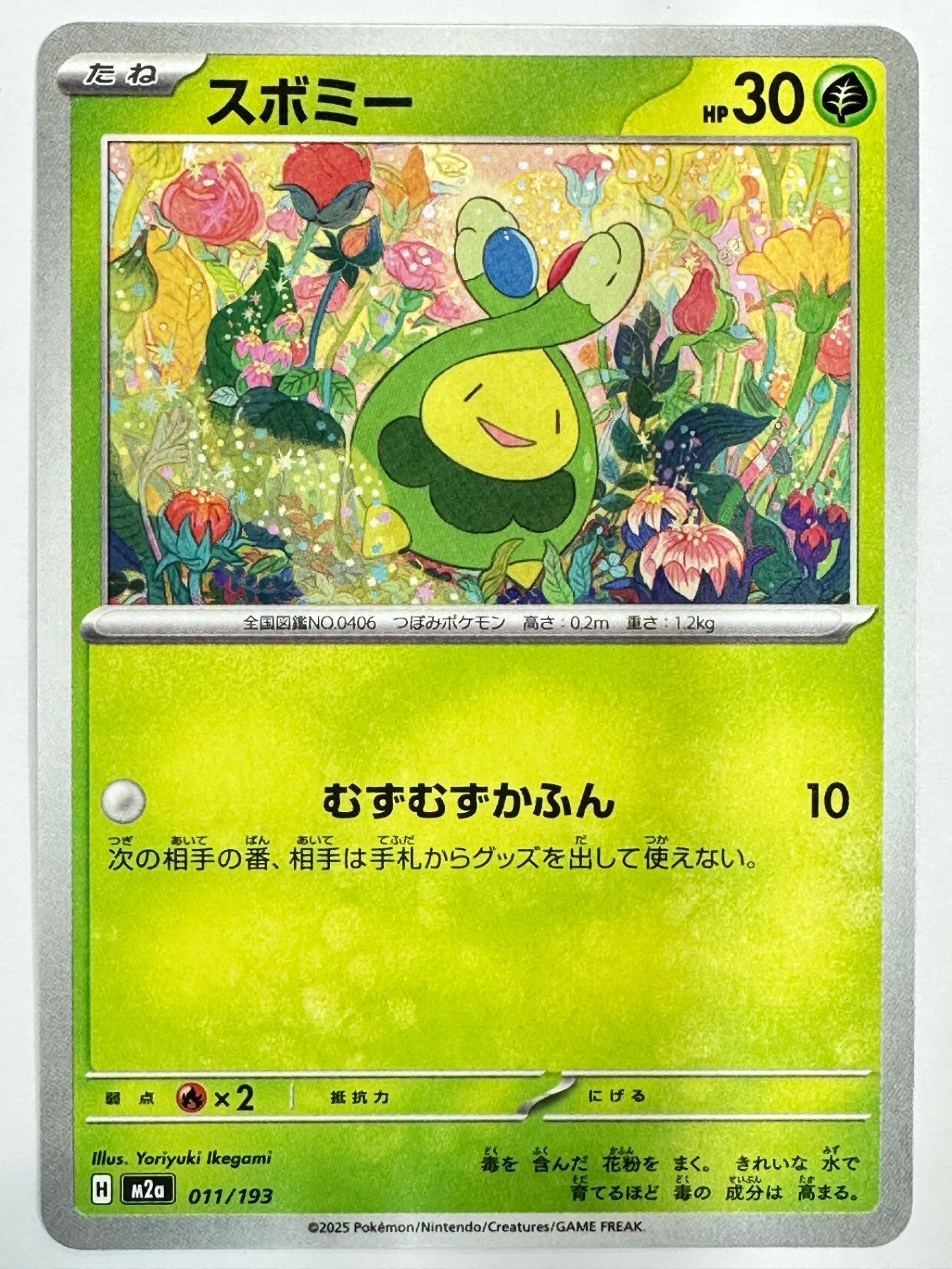 011/193 スボミー