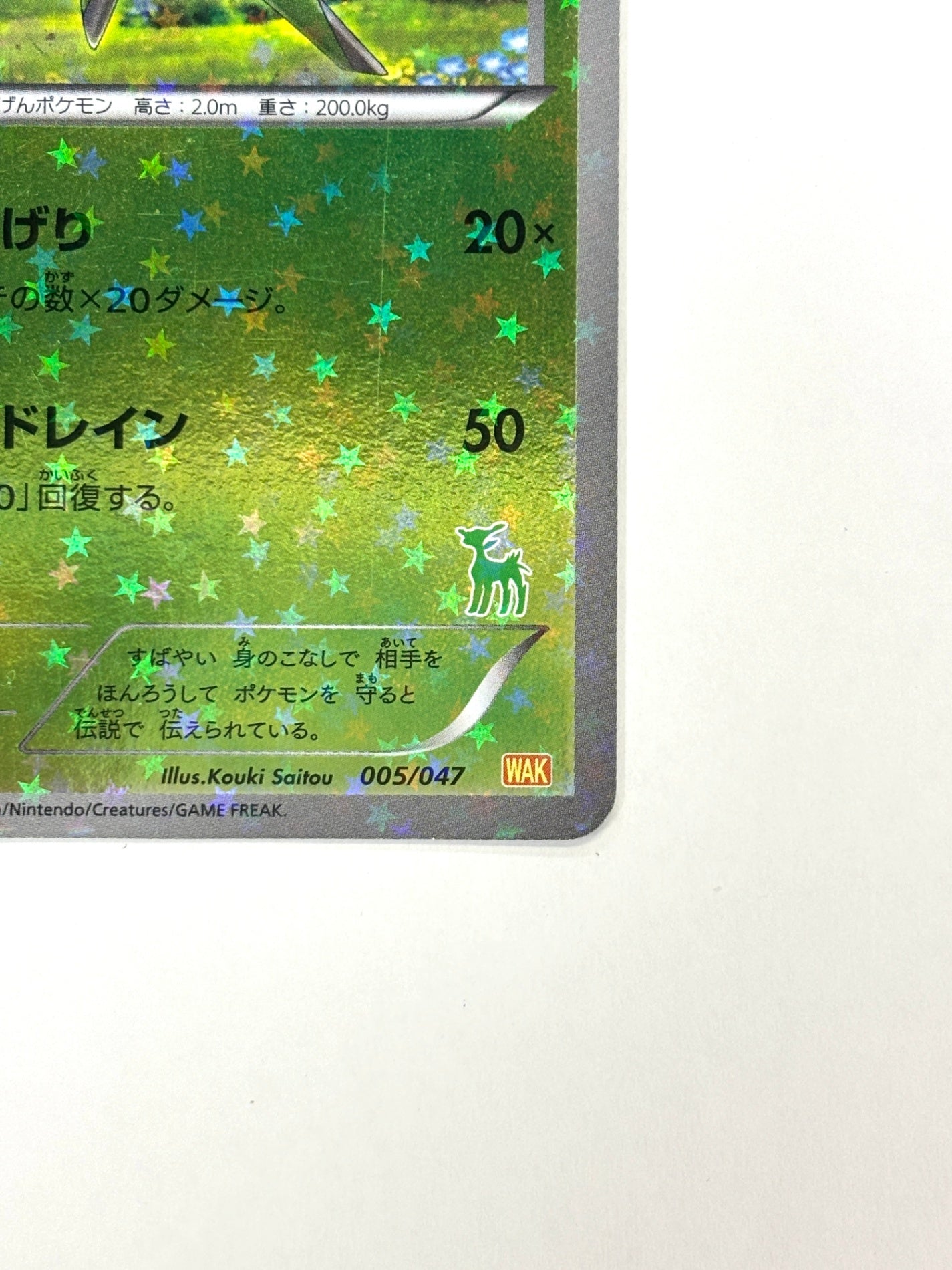 005/047 ビリジオン(カード右下アイコン緑色)