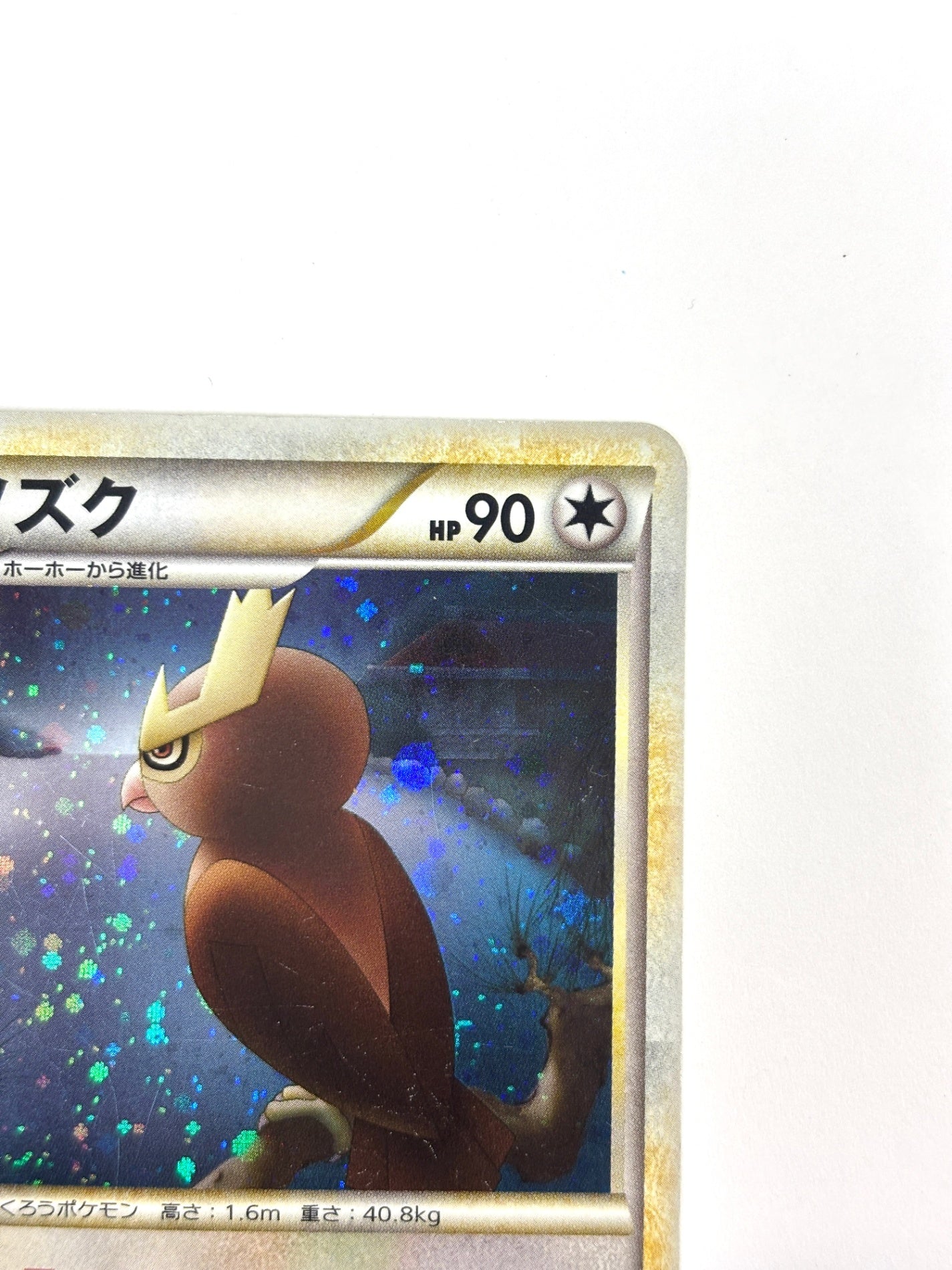 059/070 1ED)ヨルノズク