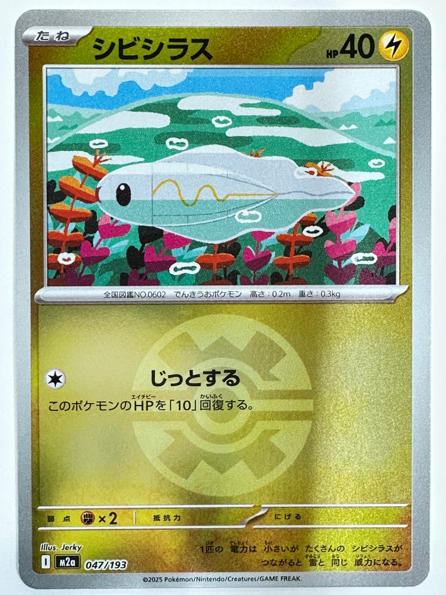 047/193 ミラー)シビシラス(ボール柄)