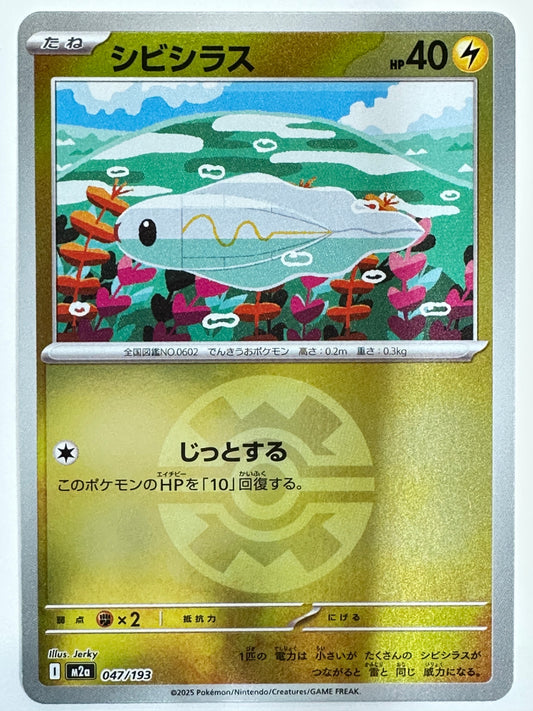 047/193 ミラー)シビシラス(ボール柄)