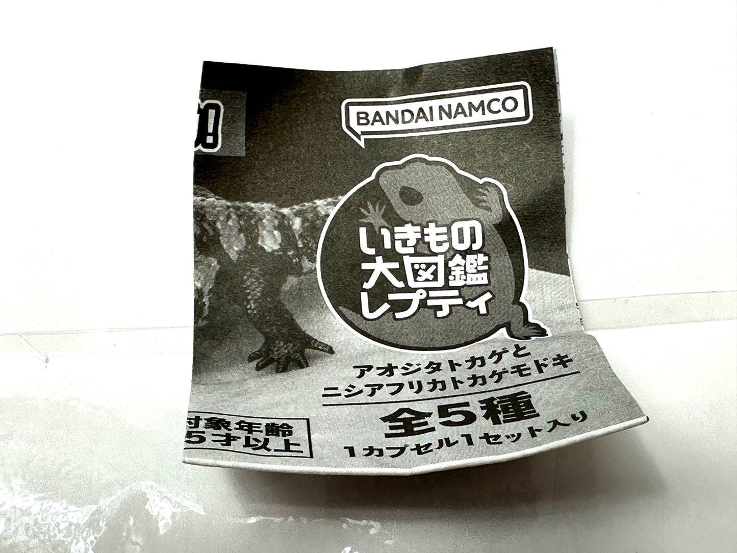 いきもの大図鑑 レプティ アオジタトカゲ 2個セット 全長 100mm 可動箇所9箇所 BANDAI ガシャポン フィギュア 8/21