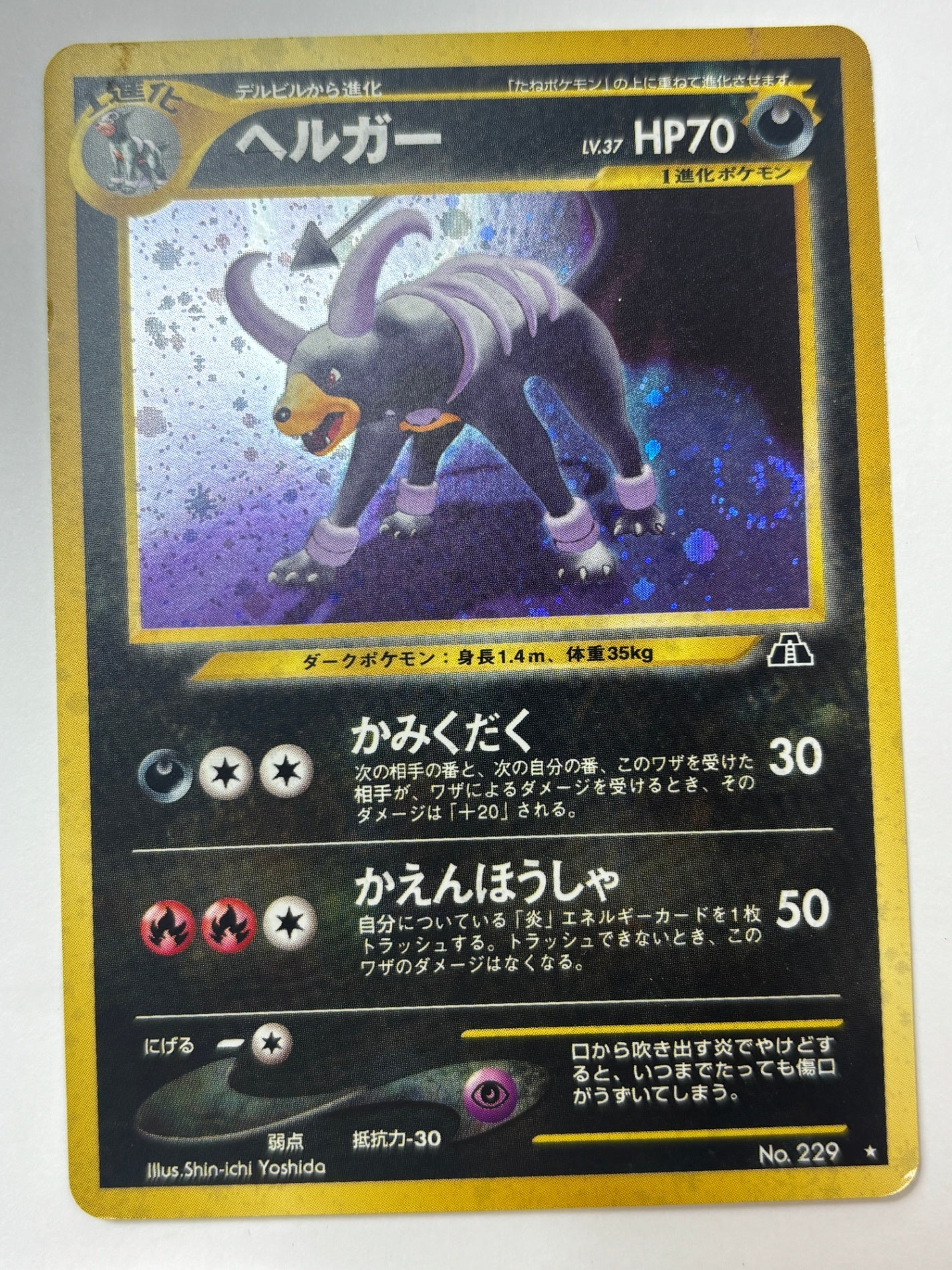 LV37HP70NO229-NEO2 ヘルガー(右中央:遺跡)