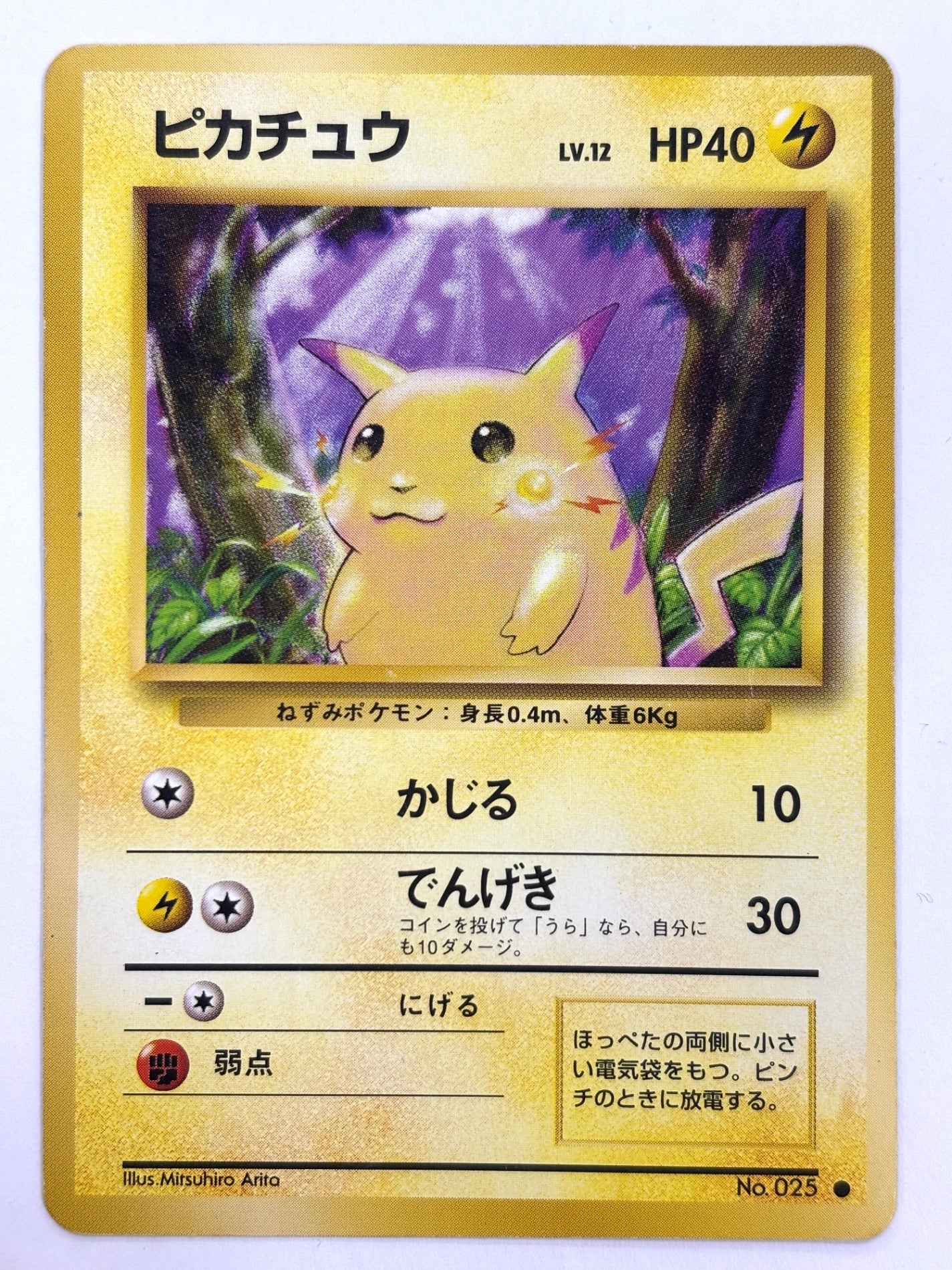 LV12HP40NO025-ORG1R ピカチュウ