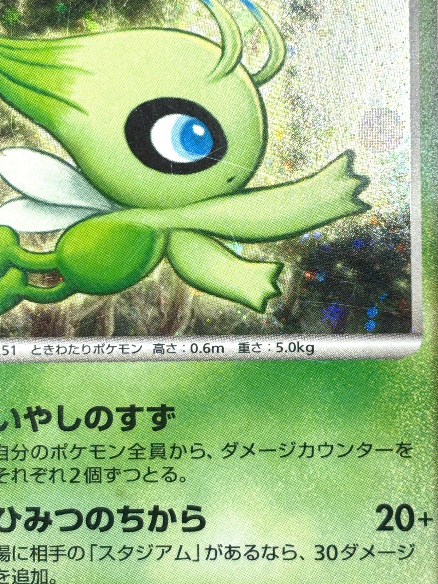 10th/004 時を超えたセレビィ