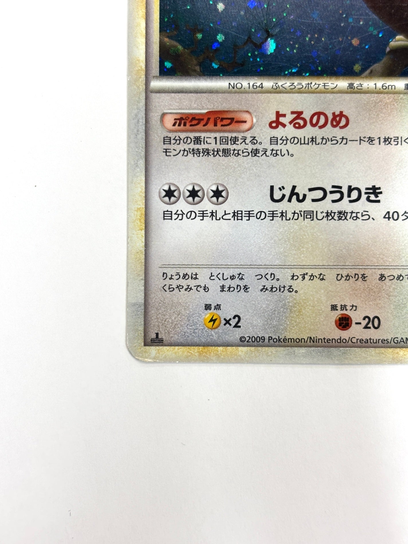 059/070 1ED)ヨルノズク