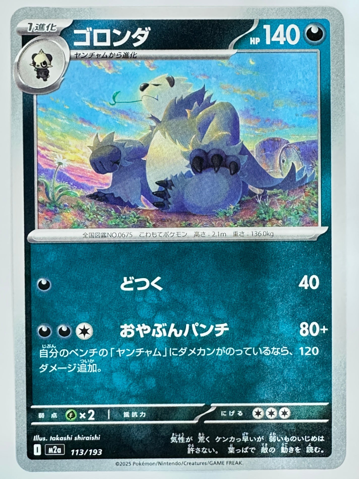 113/193 ゴロンダ