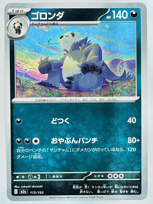 113/193 ゴロンダ