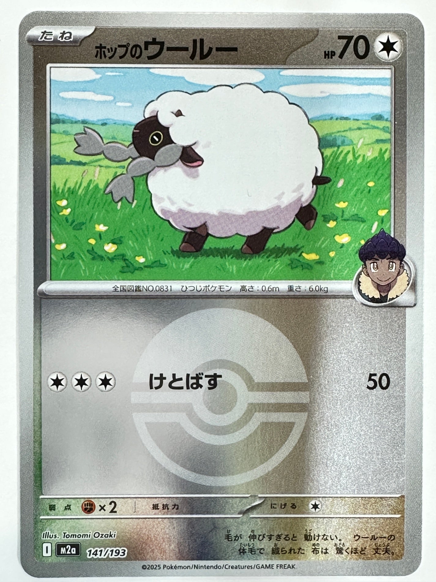 141/193 ミラー)ホップのウールー(ボール柄)