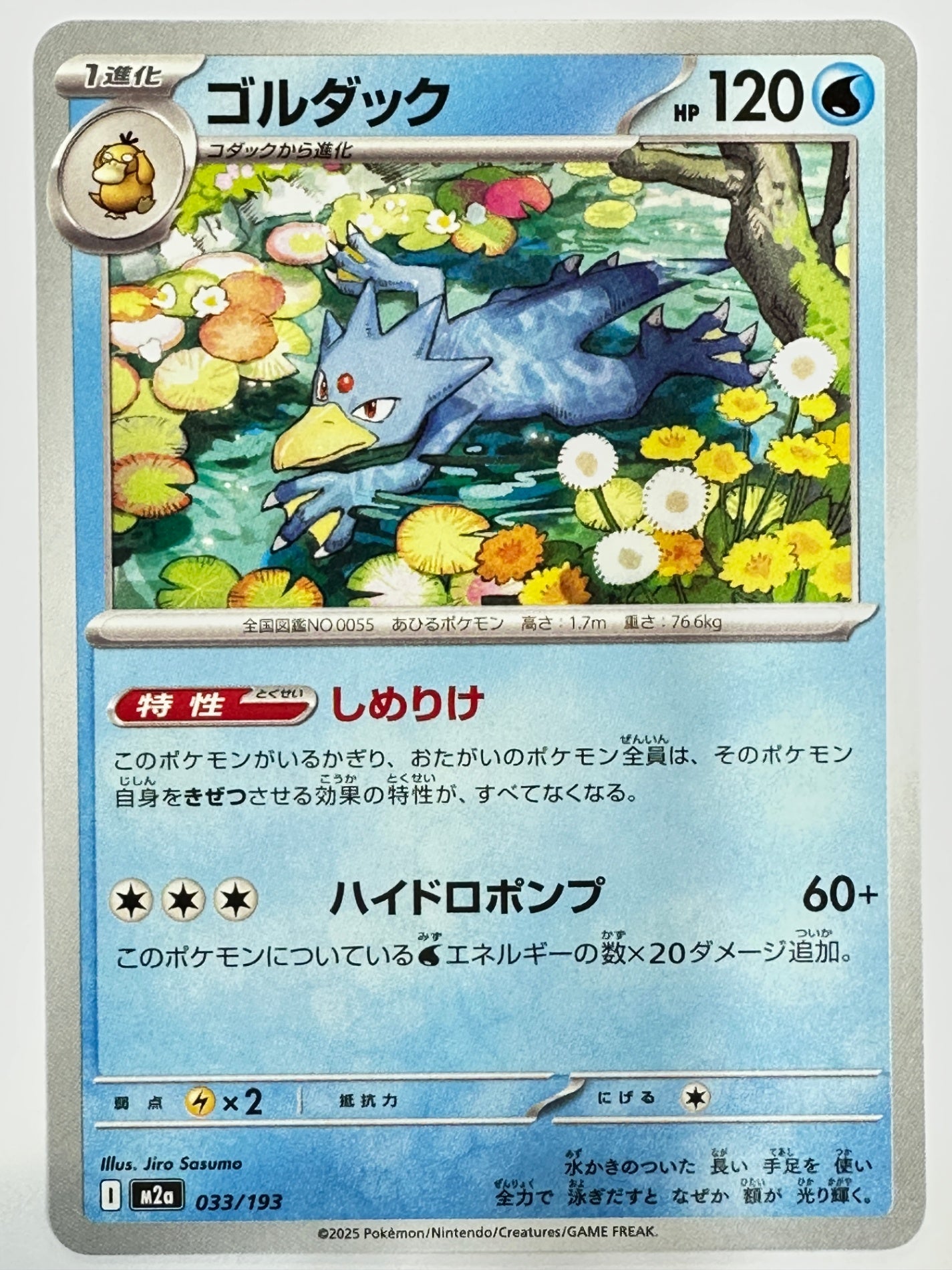 033/193 ゴルダック