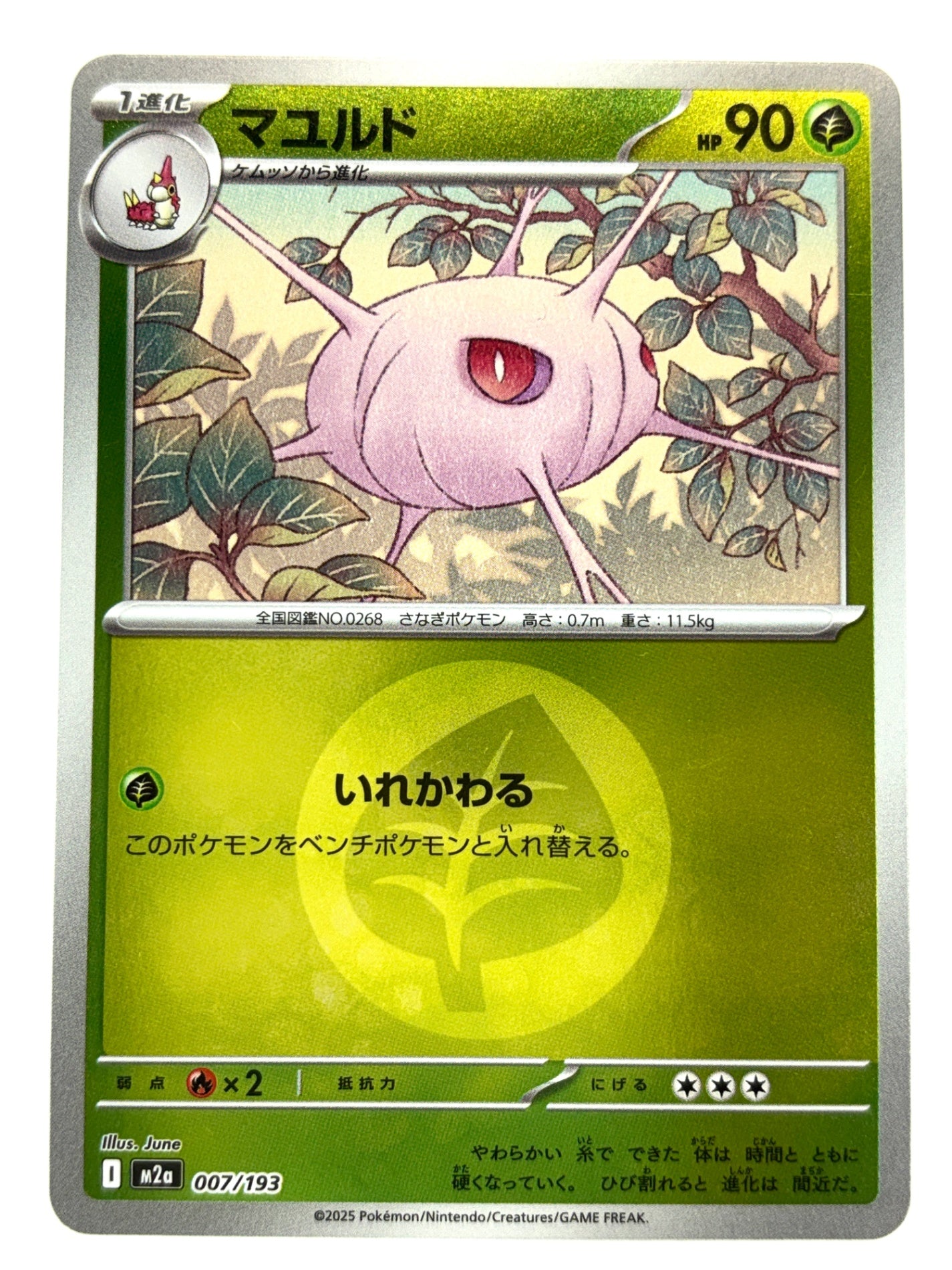 007/193 ミラー)マユルド(エネルギー柄)