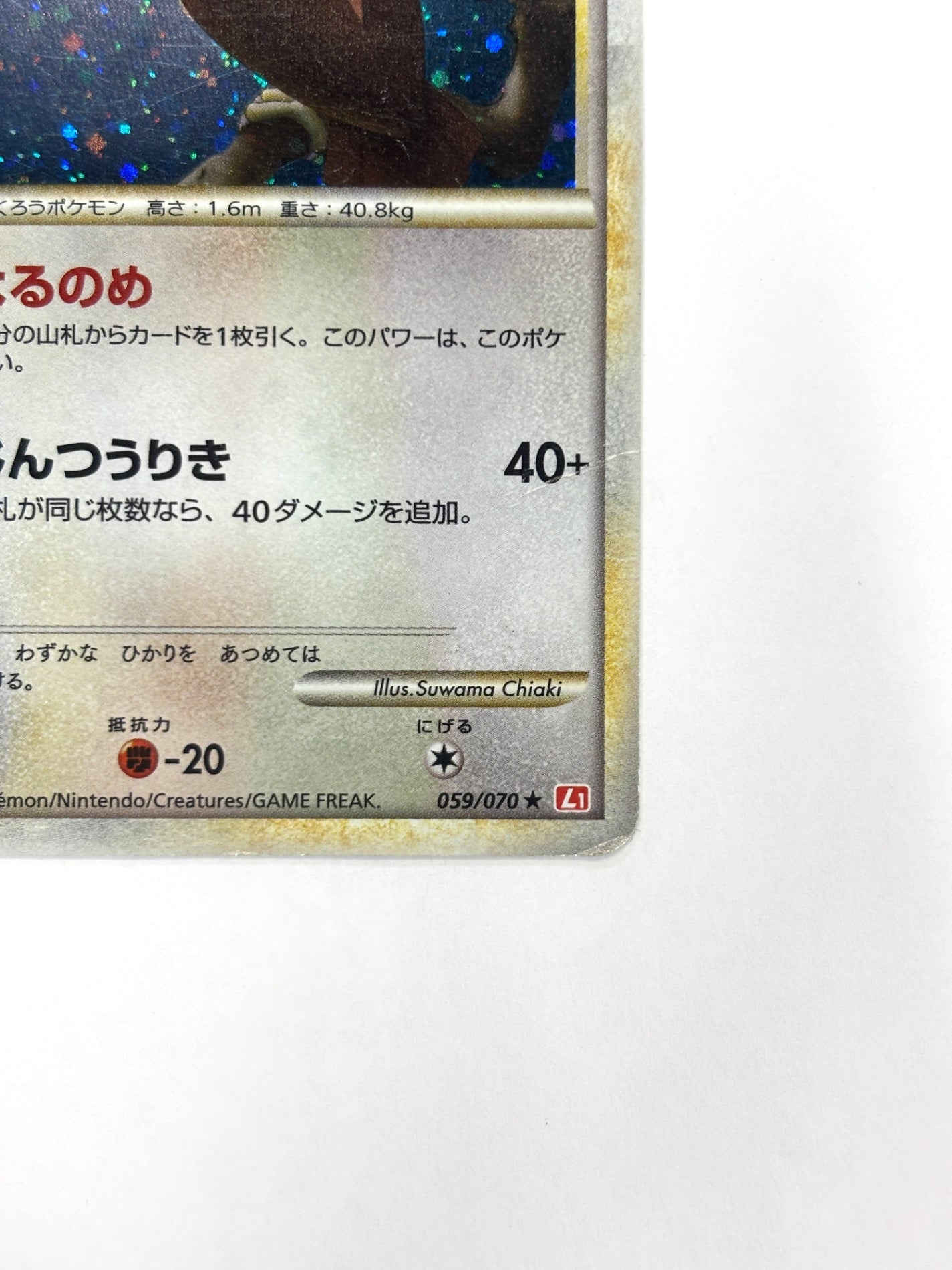 059/070 1ED)ヨルノズク