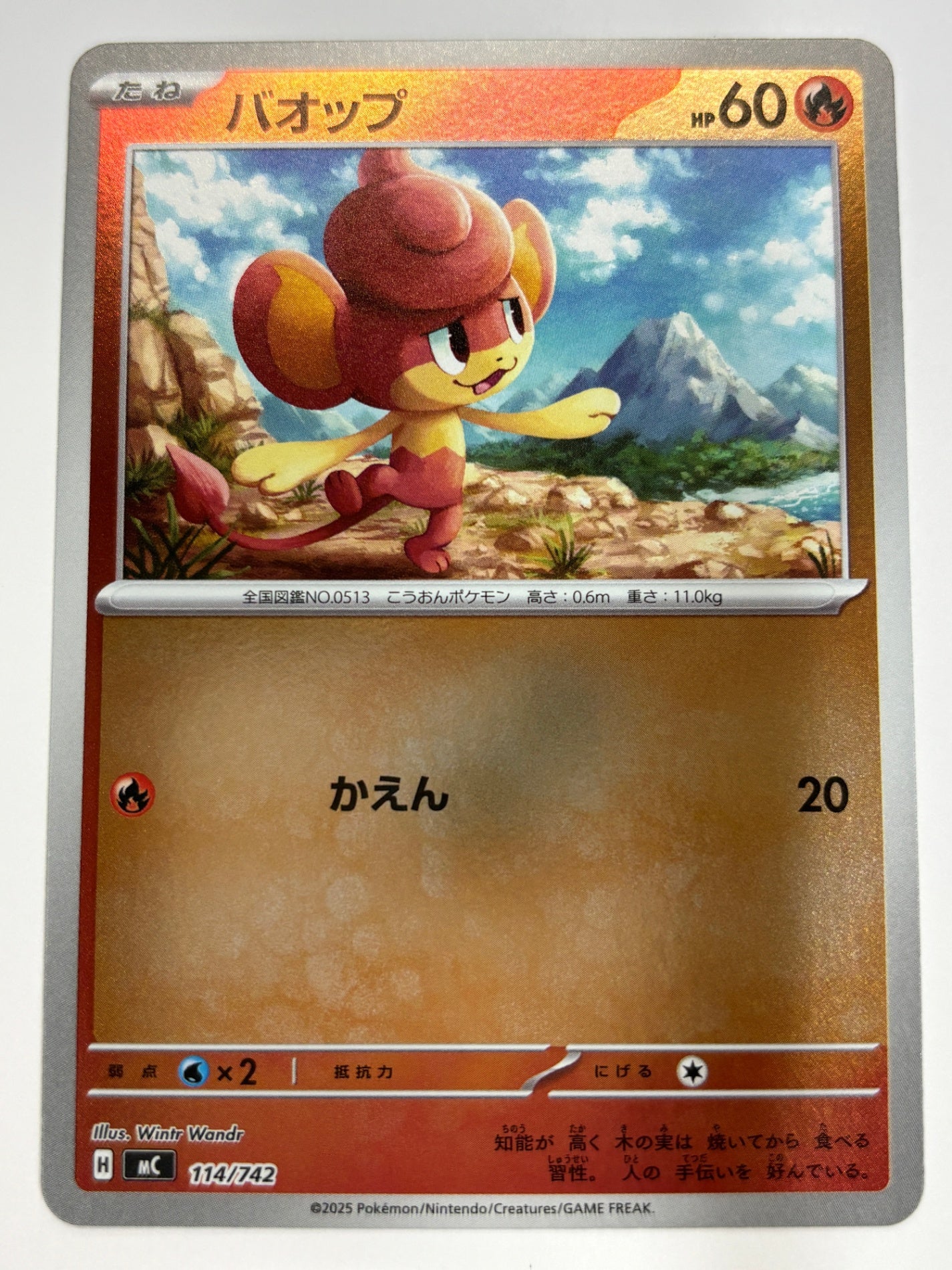 114/742 ミラー仕様)バオップ